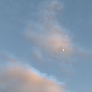 Meet your Posher, Leia